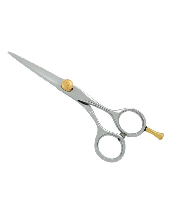 Professional Hair Cutting Scissors