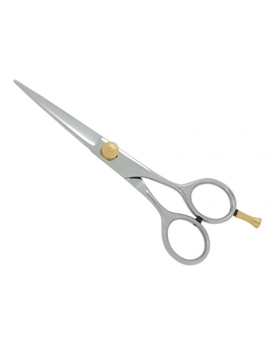 Professional Hair Cutting Scissors