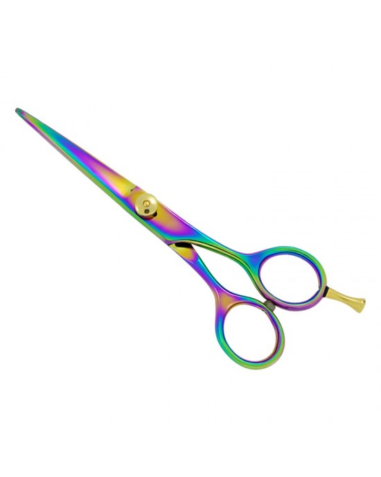 Professional Hair Cutting Scissors