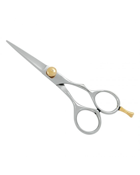 Professional Hair Cutting Scissors