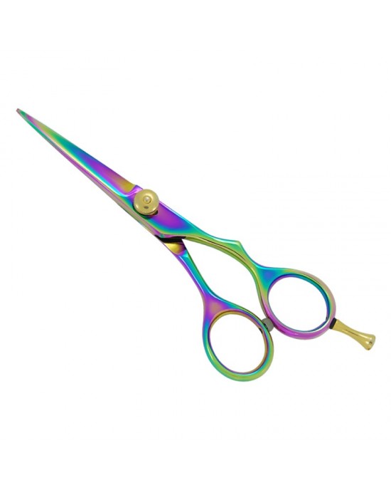 Professional Hair Cutting Scissors