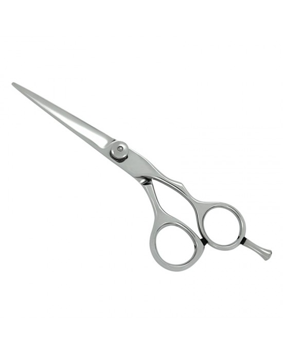 Professional Hair Cutting Scissors