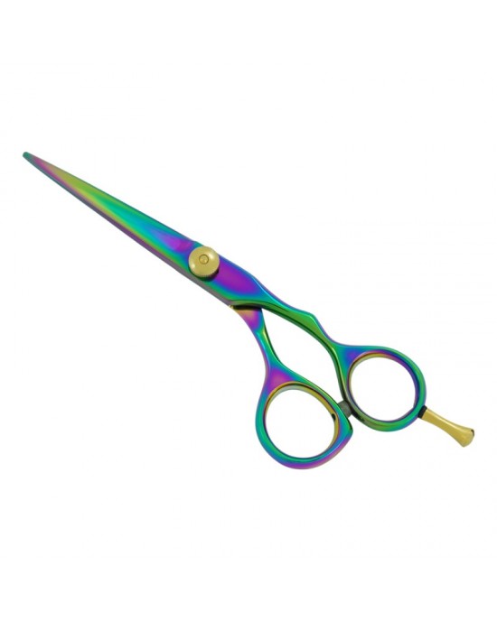 Professional Hair Cutting Scissors