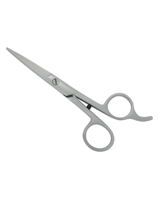 Professional Hair Cutting Scissors