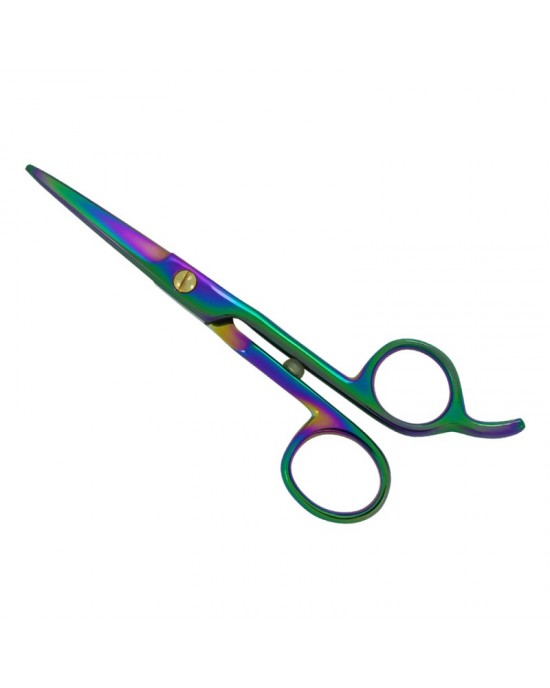 Professional Hair Cutting Scissors