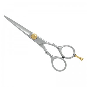 Professional Hair Cutting Scissors