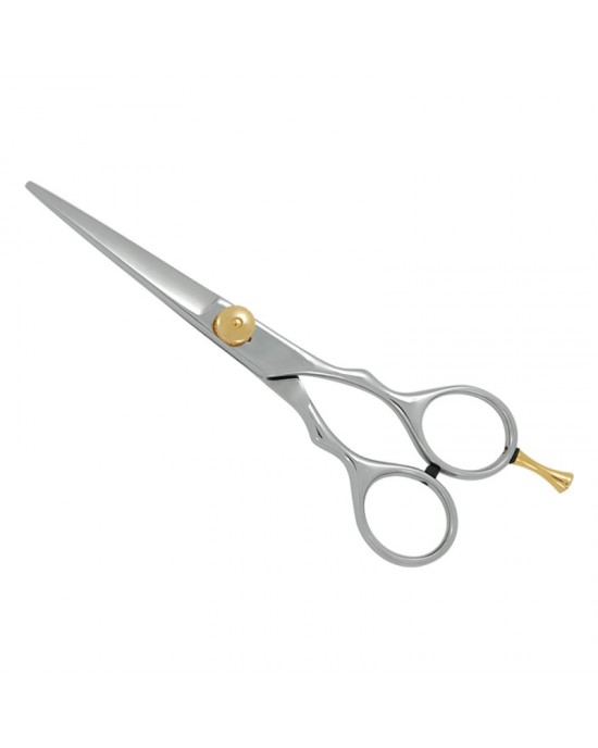 Professional Hair Cutting Scissors