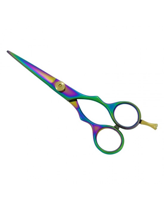 Professional Hair Cutting Scissors