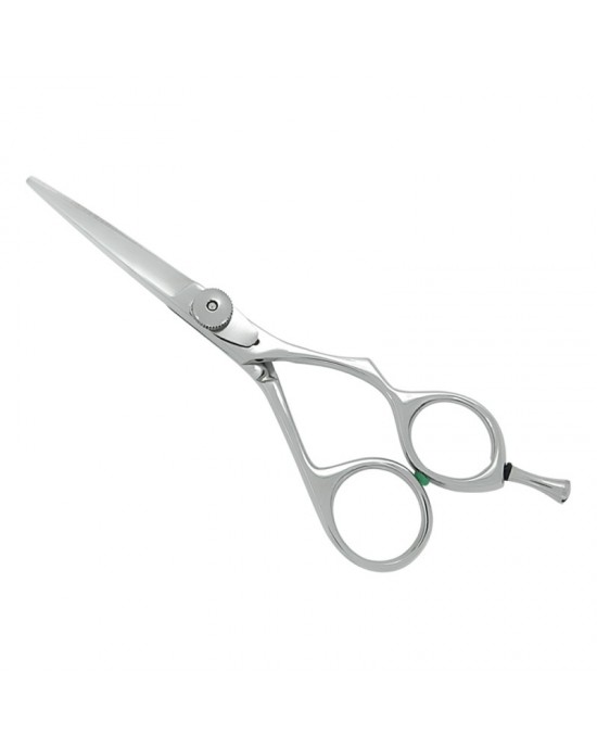 Professional Hair Cutting Scissors