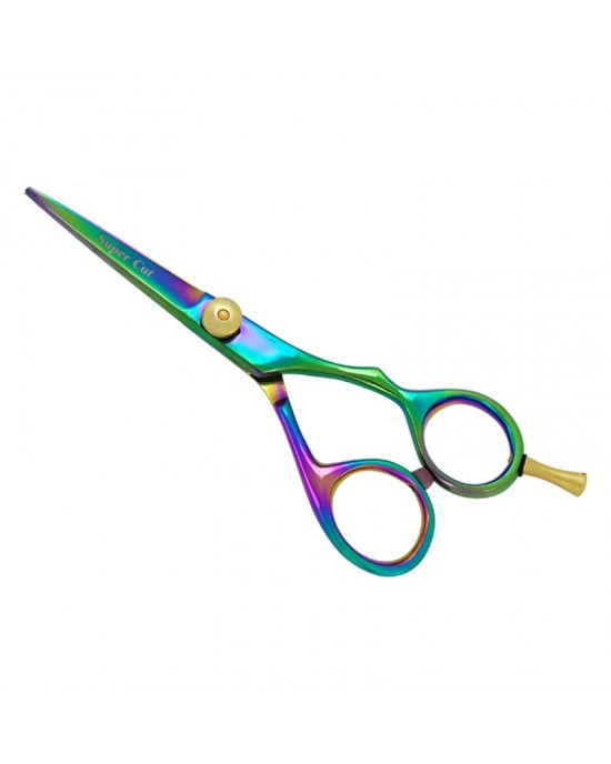 Professional Hair Cutting Scissors