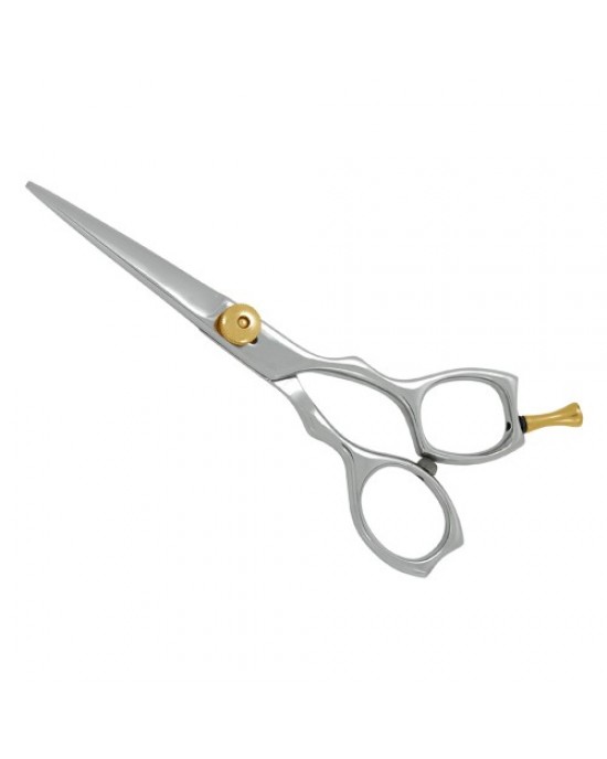 Professional Hair Cutting Scissors