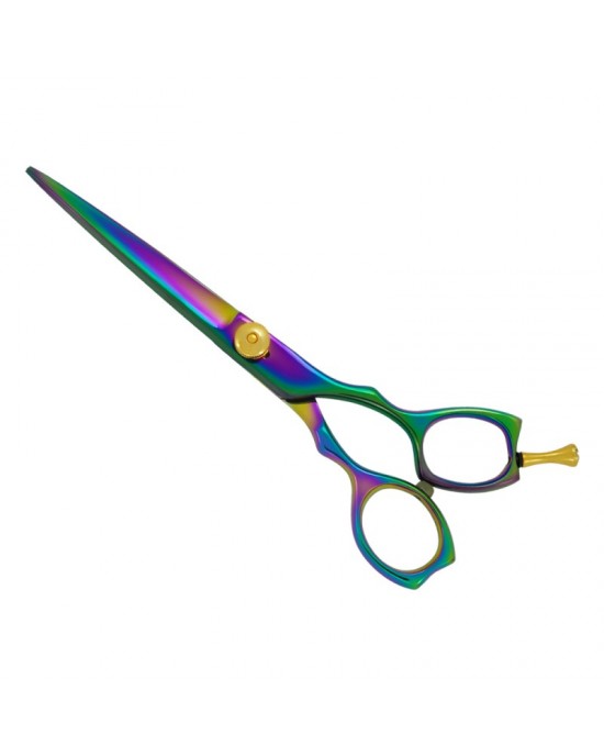 Professional Hair Cutting Scissors