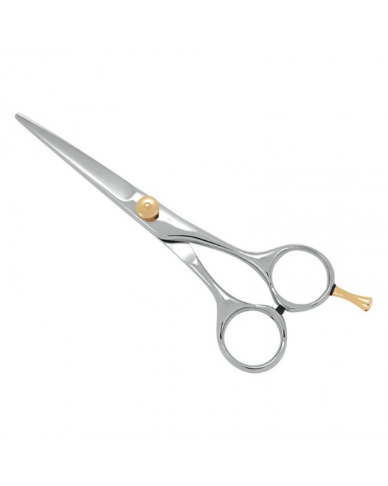 Professional Hair Cutting Scissors