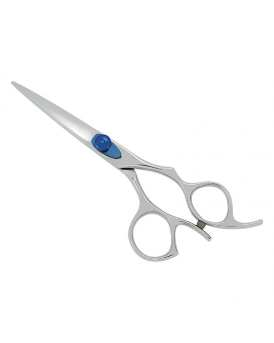 Professional Hair Cutting Scissors