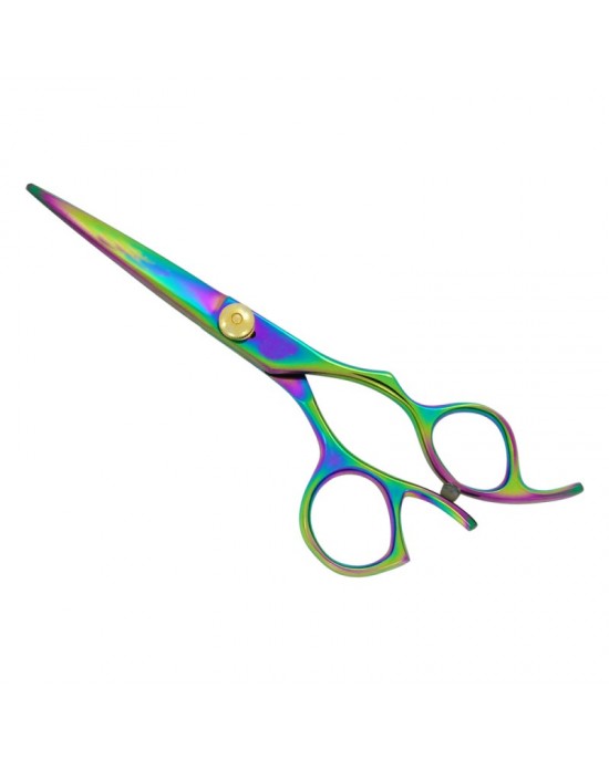 Professional Hair Scissors
