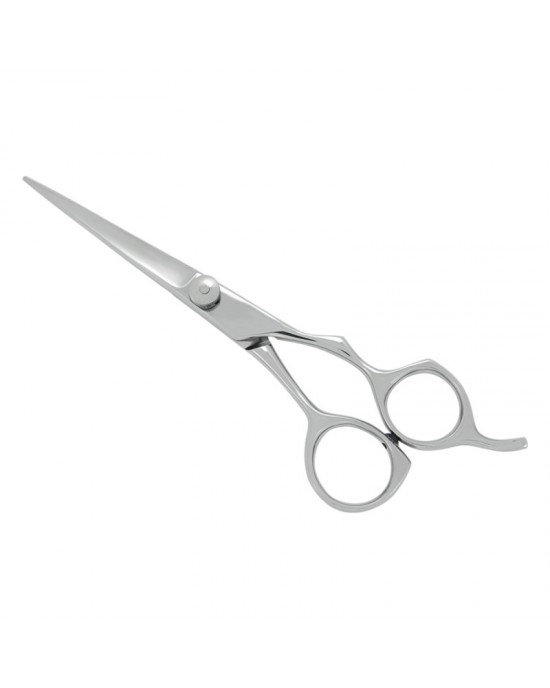 Professional Hair Cutting Scissors