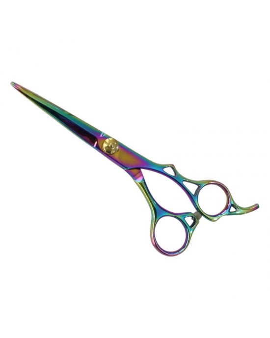 Professional Hair Cutting Scissors