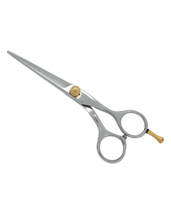 Professional Hair Cutting Scissors