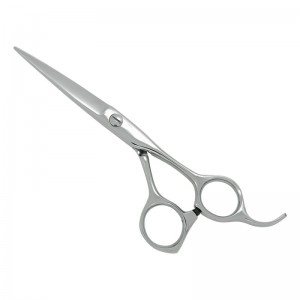 Professional Hair Cutting Scissors