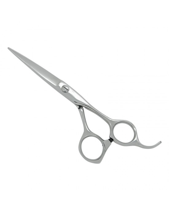 Professional Hair Cutting Scissors