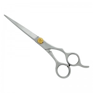 Professional Hair Cutting Scissors