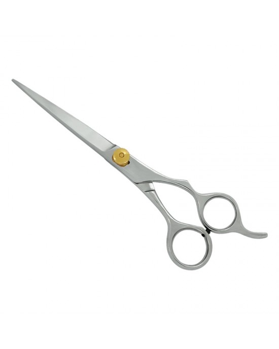 Professional Hair Cutting Scissors