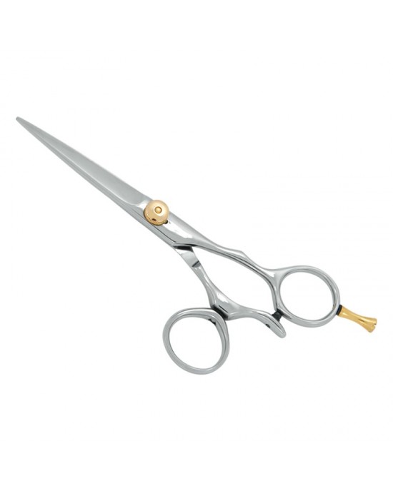 Professional Hair Cutting Scissors