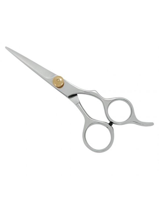 Professional Hair Cutting Scissors