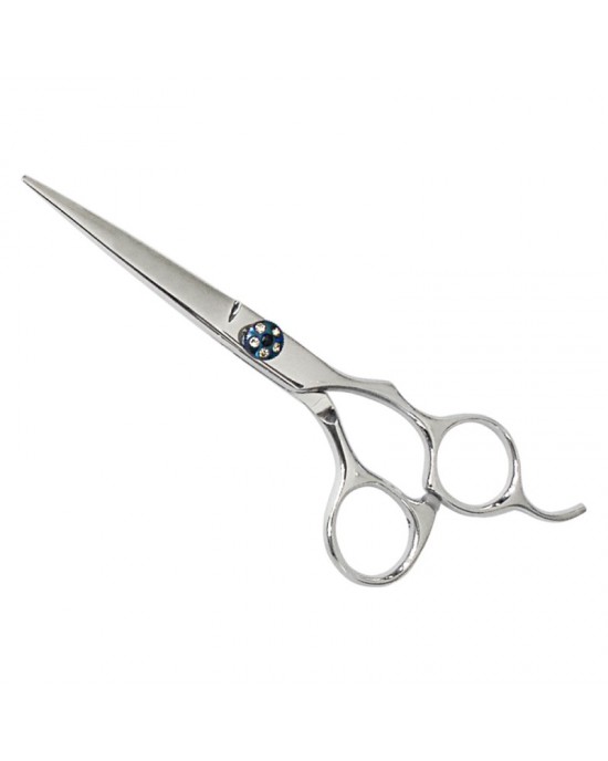 Professional Hair Cutting Scissors