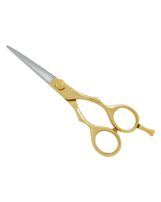 Professional Hair Cutting Scissors