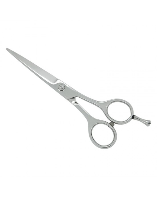 Professional Hair Cutting Scissors