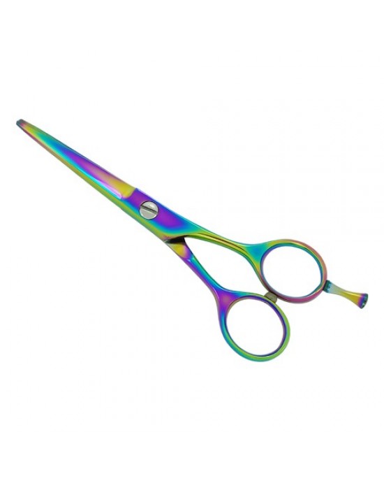 Professional Hair Cutting Scissors