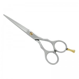 Professional Hair Cutting Scissors