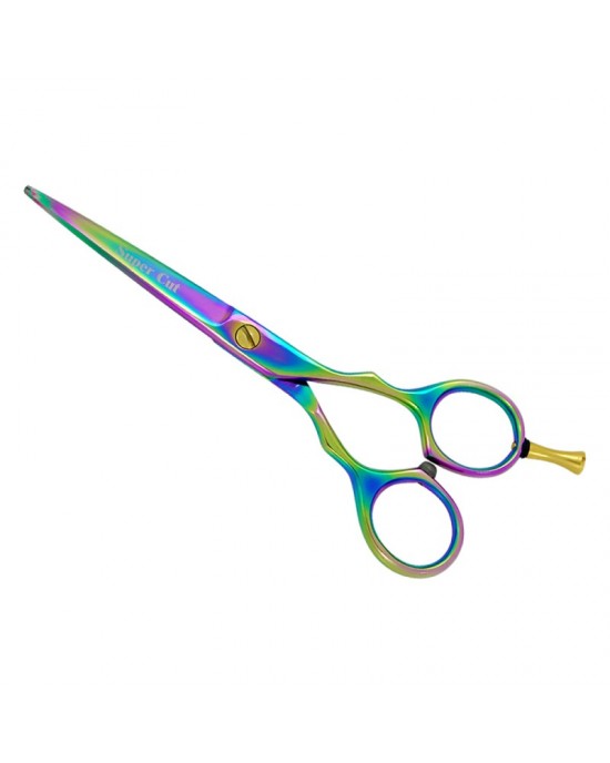 Professional Hair Cutting Scissors