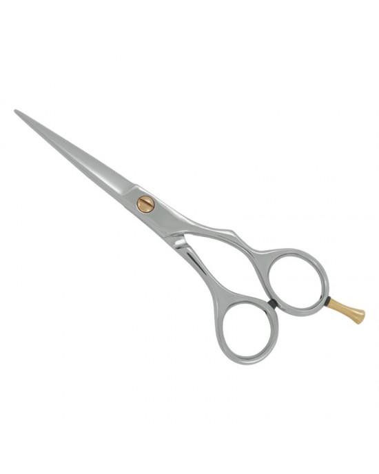 Professional Hair Cutting Scissors