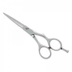 Professional Hair Cutting Scissors