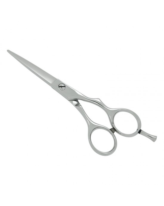 Professional Hair Cutting Scissors