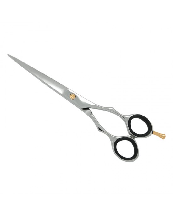 Professional Hair Cutting Scissors