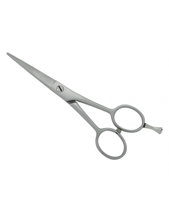 Professional Hair Cutting Scissors