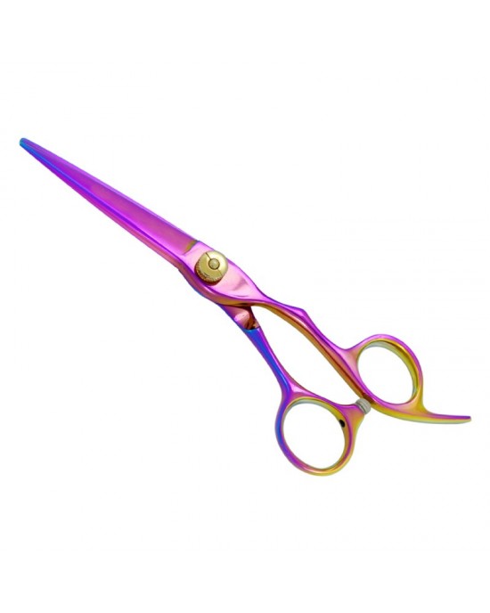 Professional Hair Cutting Scissors