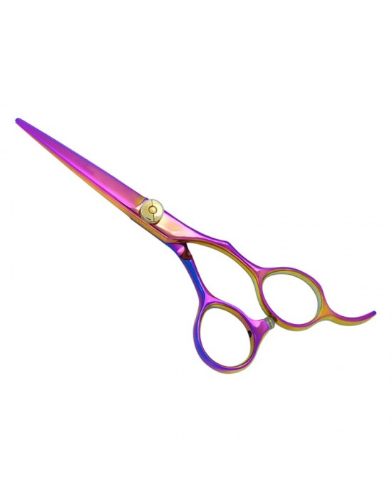 Professional Hair Cutting Scissors
