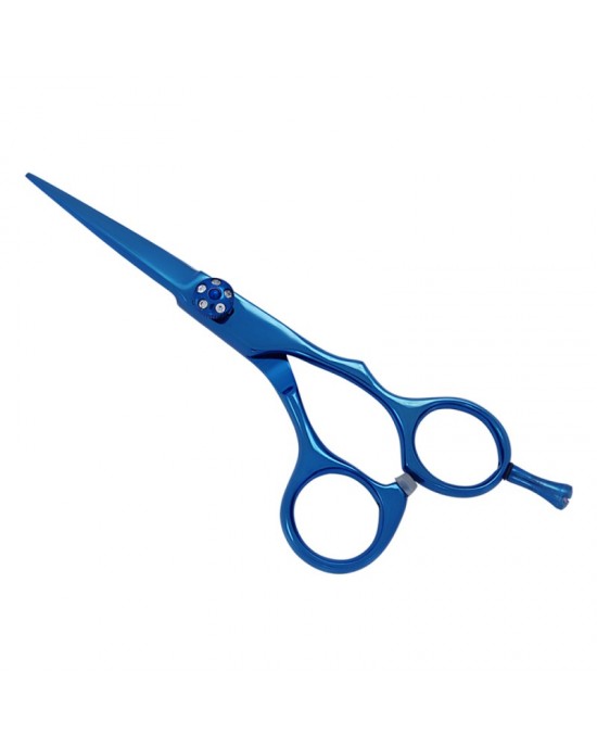 Professional Hair Cutting Scissors