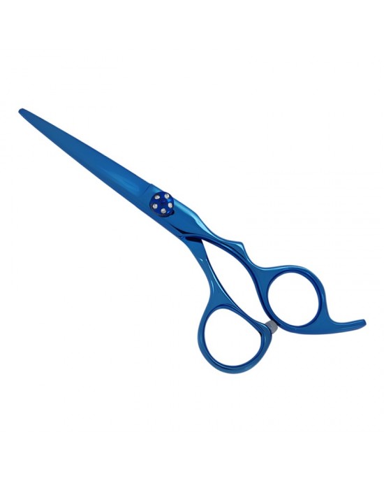 Professional Hair Cutting Scissors