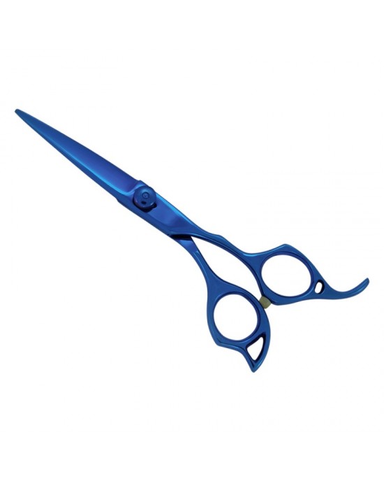 Professional Hair Cutting Scissors