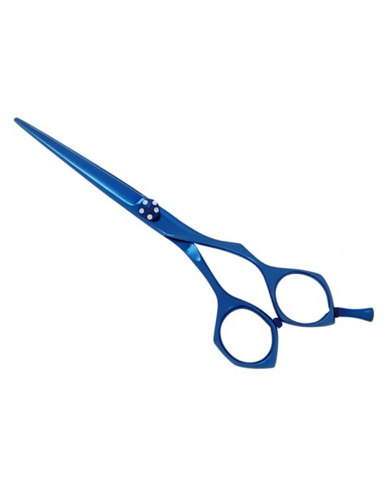 Professional Hair Cutting Scissors