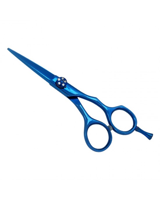 Professional Hair Scissors