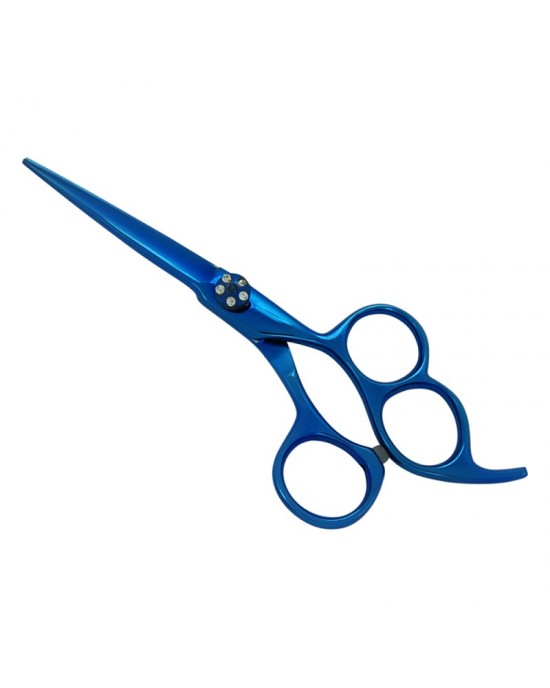 Professional Hair Cutting Scissors