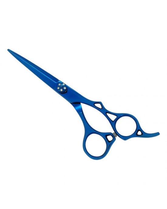 Professional Hair Cutting Scissors