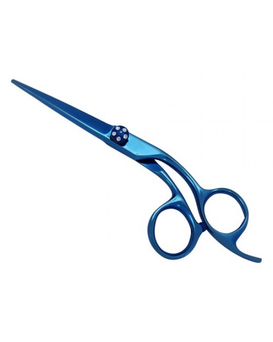 Professional Hair Cutting Scissors