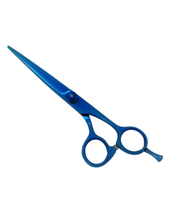 Professional Hair Cutting Scissors